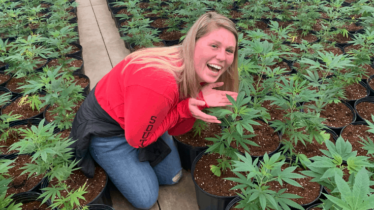 Hemp Introduction Course at a Missouri University Opens Door to Growing Industry